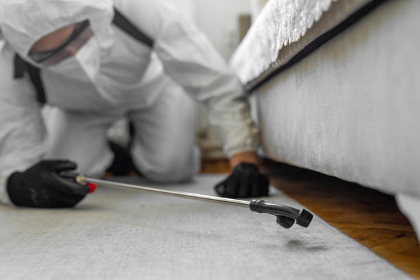 Professional Bed Bug Control technician working in Iowa Falls, IA