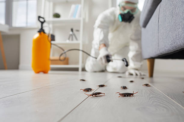 Trusted Fumigation Services service in Iowa Falls, IA - Nex Pest Control