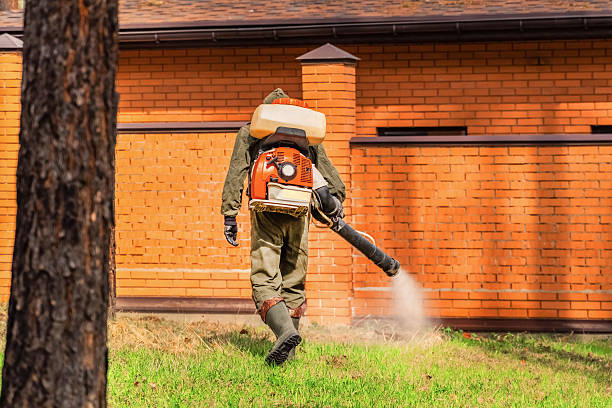 Trusted Ant Control service in Iowa Falls, IA - Nex Pest Control